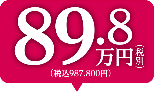 89.8万円(税別) (税込987,800円)